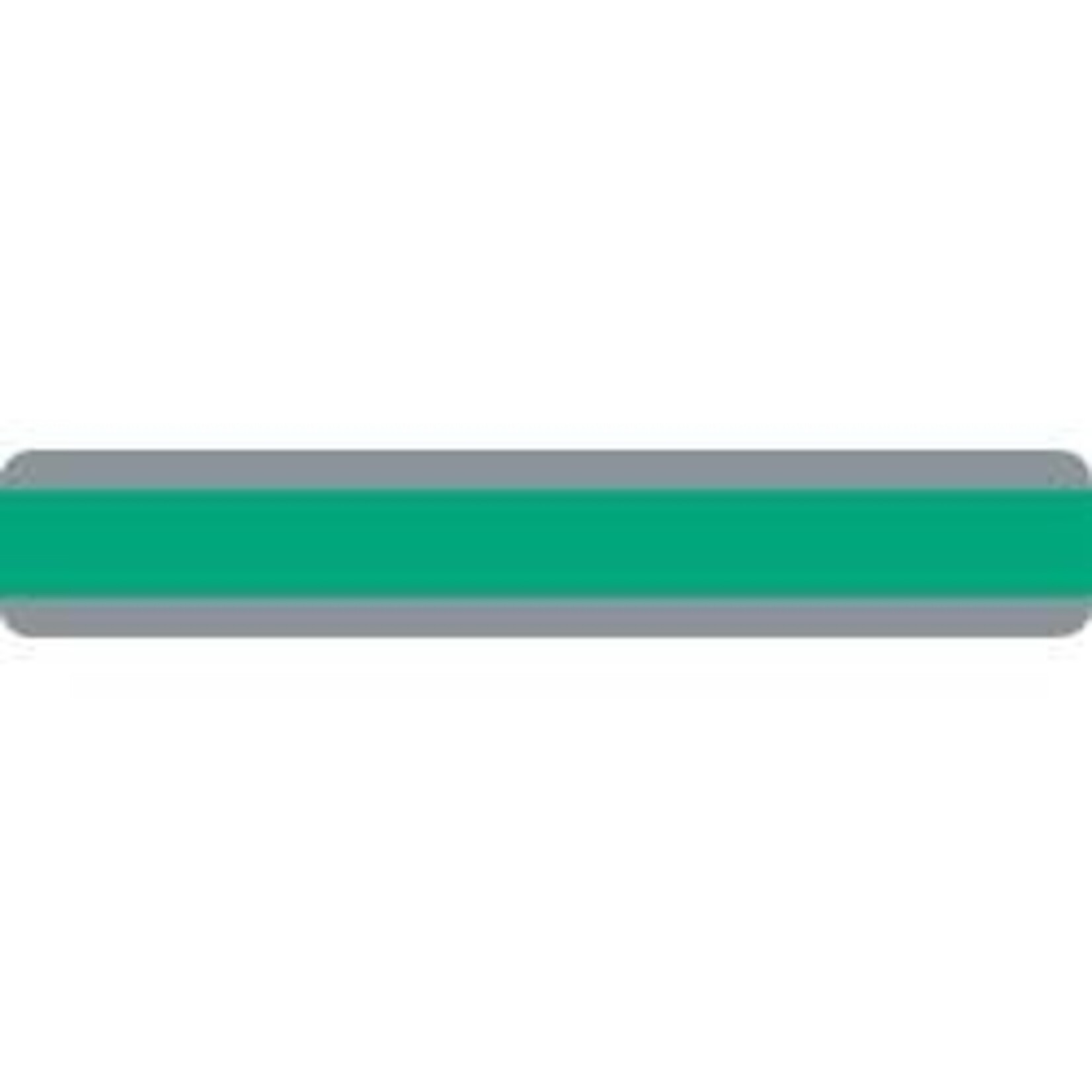 ASHLEY INCORPORATED Double Wide Sentence Reading Guide Strip, Green