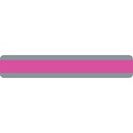 ASHLEY INCORPORATED Double Wide Sentence Reading Guide Strip, Pink