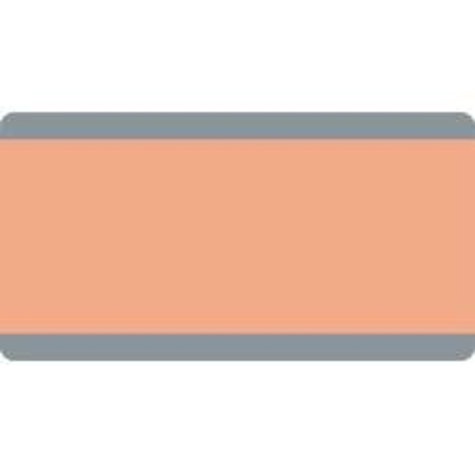 ASHLEY INCORPORATED Big Reading Guide Strip, Peach