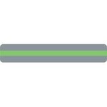 ASHLEY INCORPORATED Reading Guide Strip, Light Green