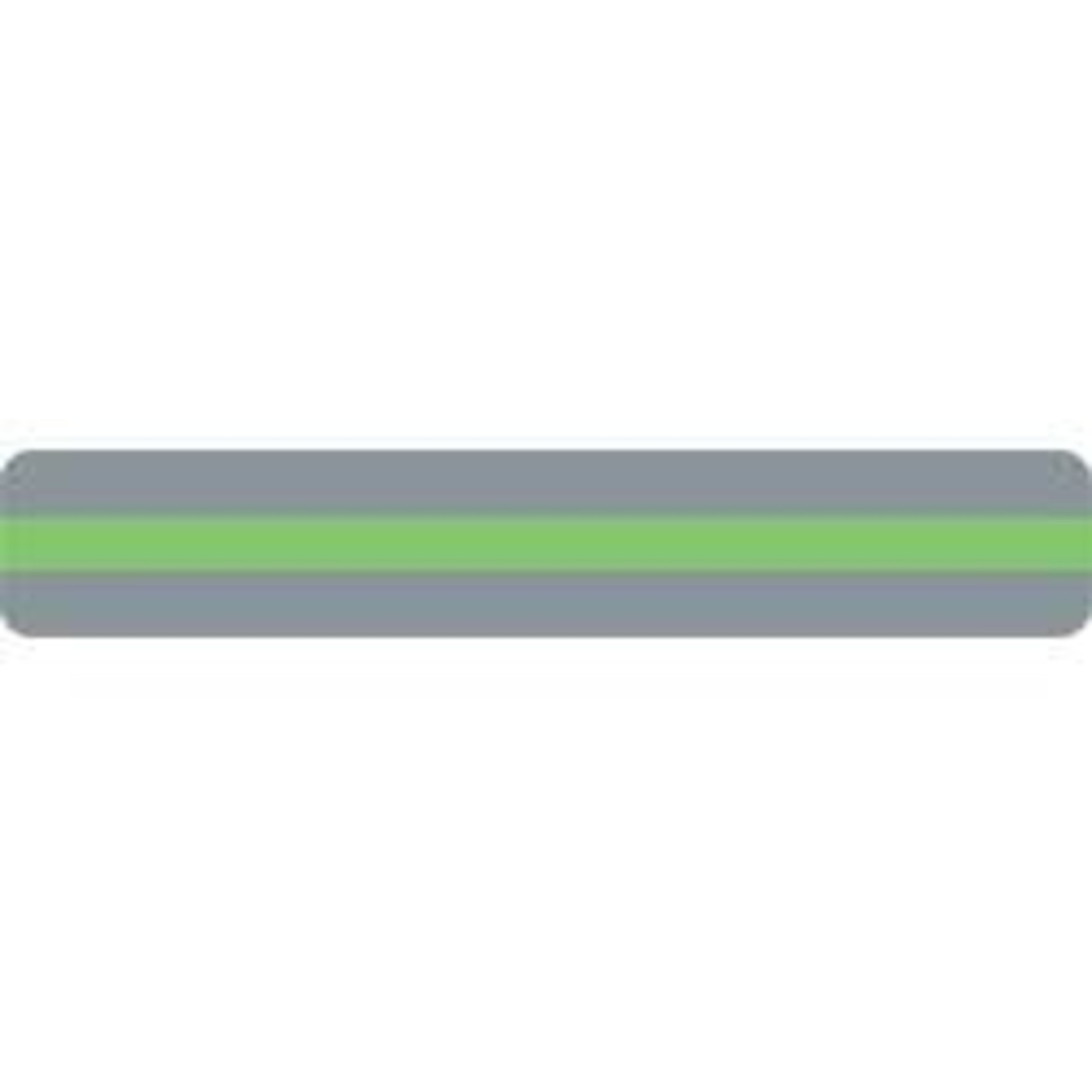 ASHLEY INCORPORATED Reading Guide Strip, Light Green