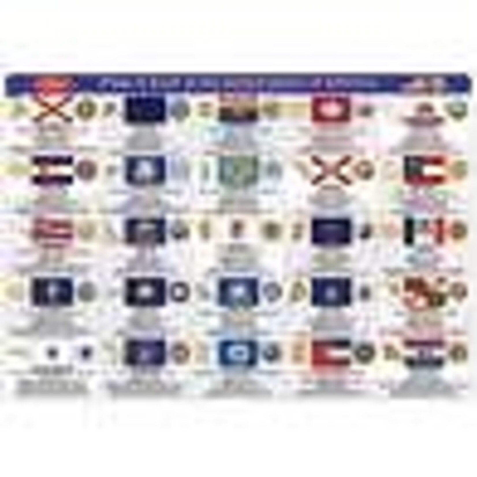 ASHLEY INCORPORATED Smart Poly® Double-Sided Learning Mat, State Flags