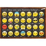 ASHLEY INCORPORATED Smart Poly Chart 13"X19", Emoji How Are You Feeling