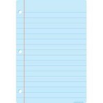 ASHLEY INCORPORATED Smart Poly® Chart 13"X19", Light Blue Notebook Paper