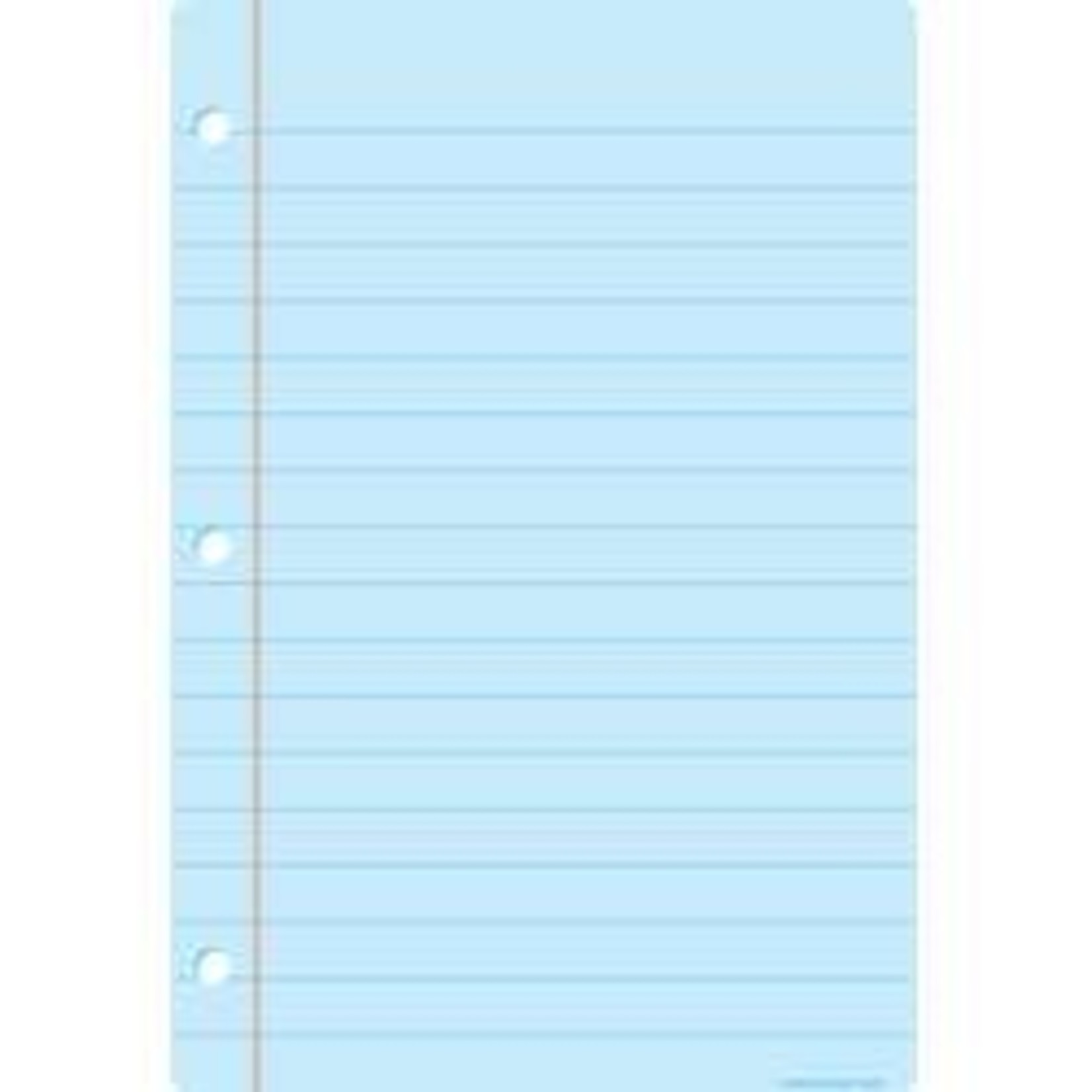 ASHLEY INCORPORATED Smart Poly® Chart 13"X19", Light Blue Notebook Paper