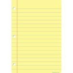 ASHLEY INCORPORATED Smart Poly Chart  Light Yellow Notebook Paper 13"X19"