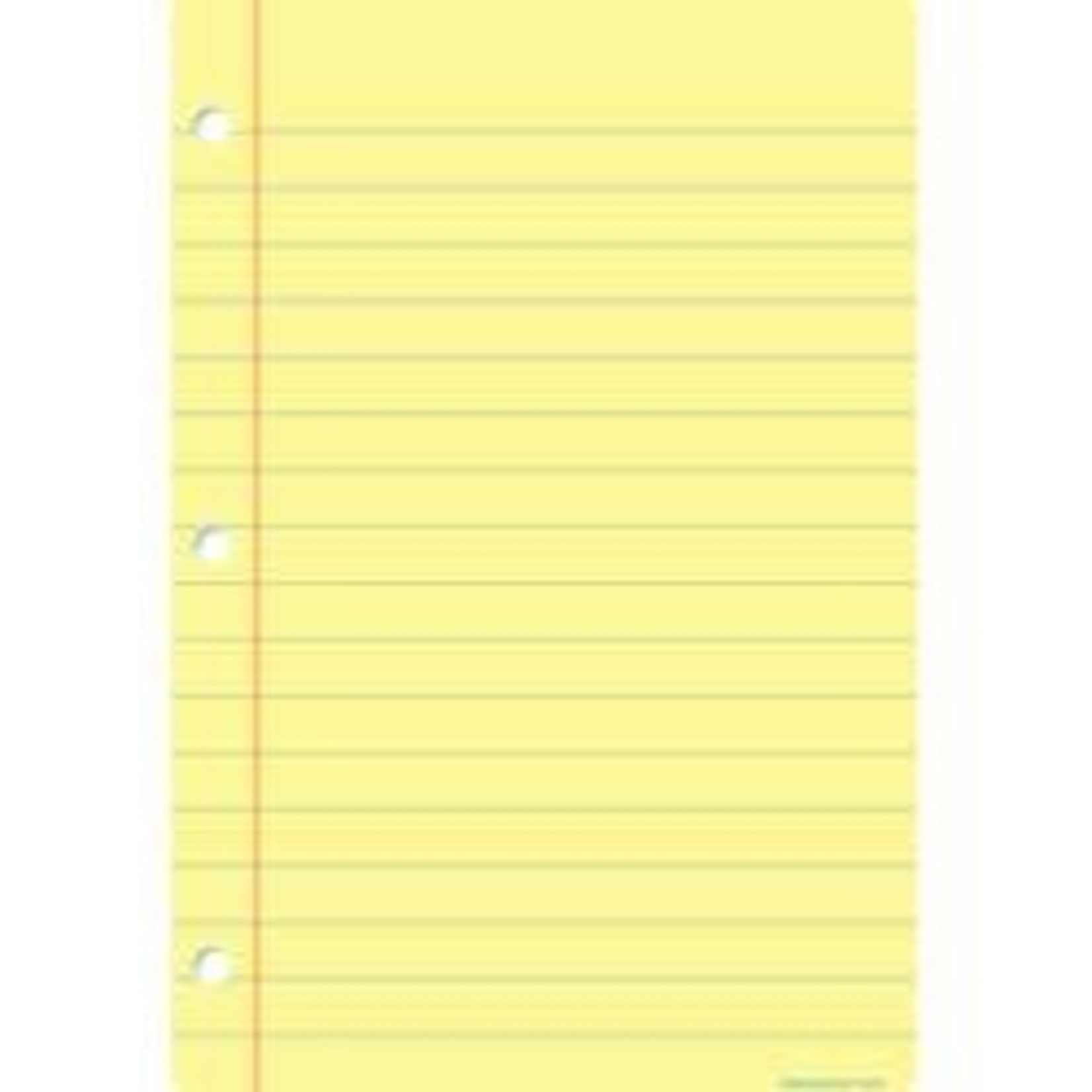 ASHLEY INCORPORATED Smart Poly® Chart  Light Yellow Notebook Paper 13"X19"