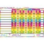 ASHLEY INCORPORATED Smart Poly Chart 13"X19", Emoji Goals