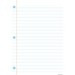 ASHLEY INCORPORATED Smart Poly Chart 13"X19", Plain Notebook Paper