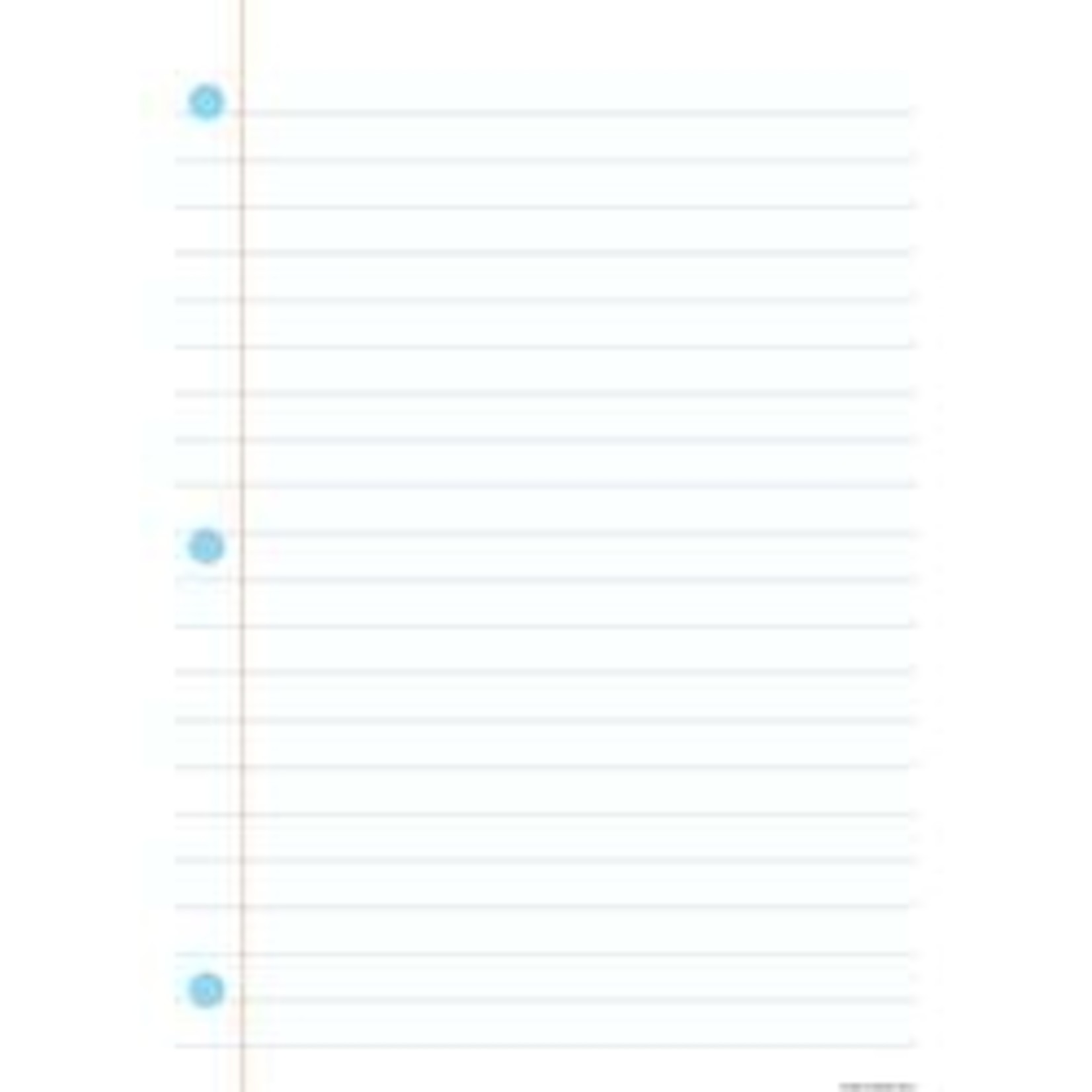 ASHLEY INCORPORATED Smart Poly Chart 13"X19", Plain Notebook Paper