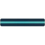 ASHLEY INCORPORATED Sentence Strip Reading Guides, Aqua