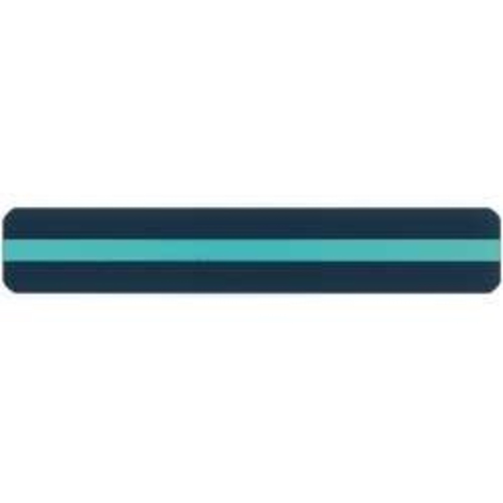 ASHLEY INCORPORATED Sentence Strip Reading Guides, Aqua