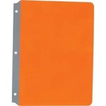 ASHLEY INCORPORATED Full Page Reading Guides, Orange