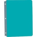 ASHLEY INCORPORATED Full Page Reading Guides, Blue
