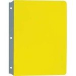 ASHLEY INCORPORATED Full Page Reading Guides, Yellow