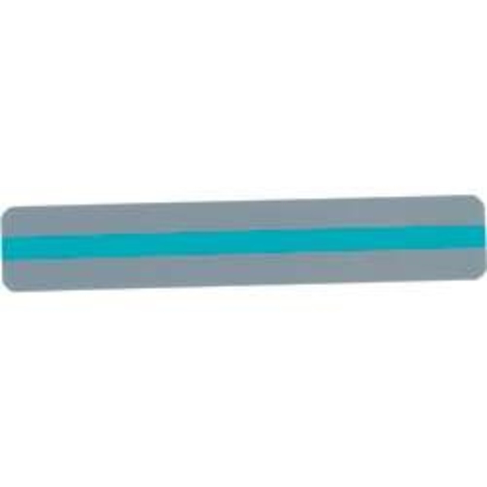 ASHLEY INCORPORATED Sentence Strip Reading Guides, Blue