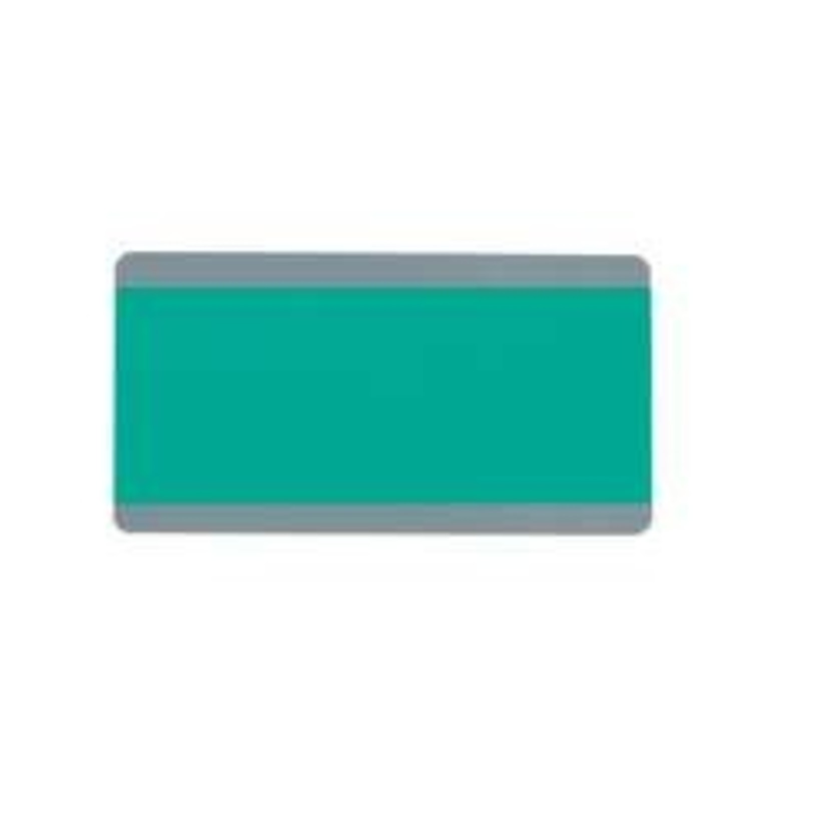 ASHLEY INCORPORATED Big Reading Guides, Green