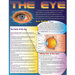 CARSON DELLOSA PUBLISHING CO The Eye Chart Grade 4-8