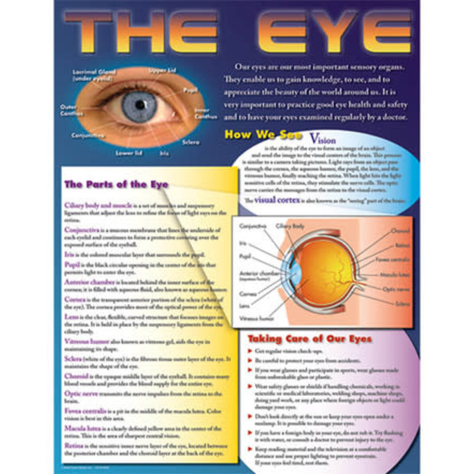CARSON DELLOSA PUBLISHING CO The Eye Chart Grade 4-8