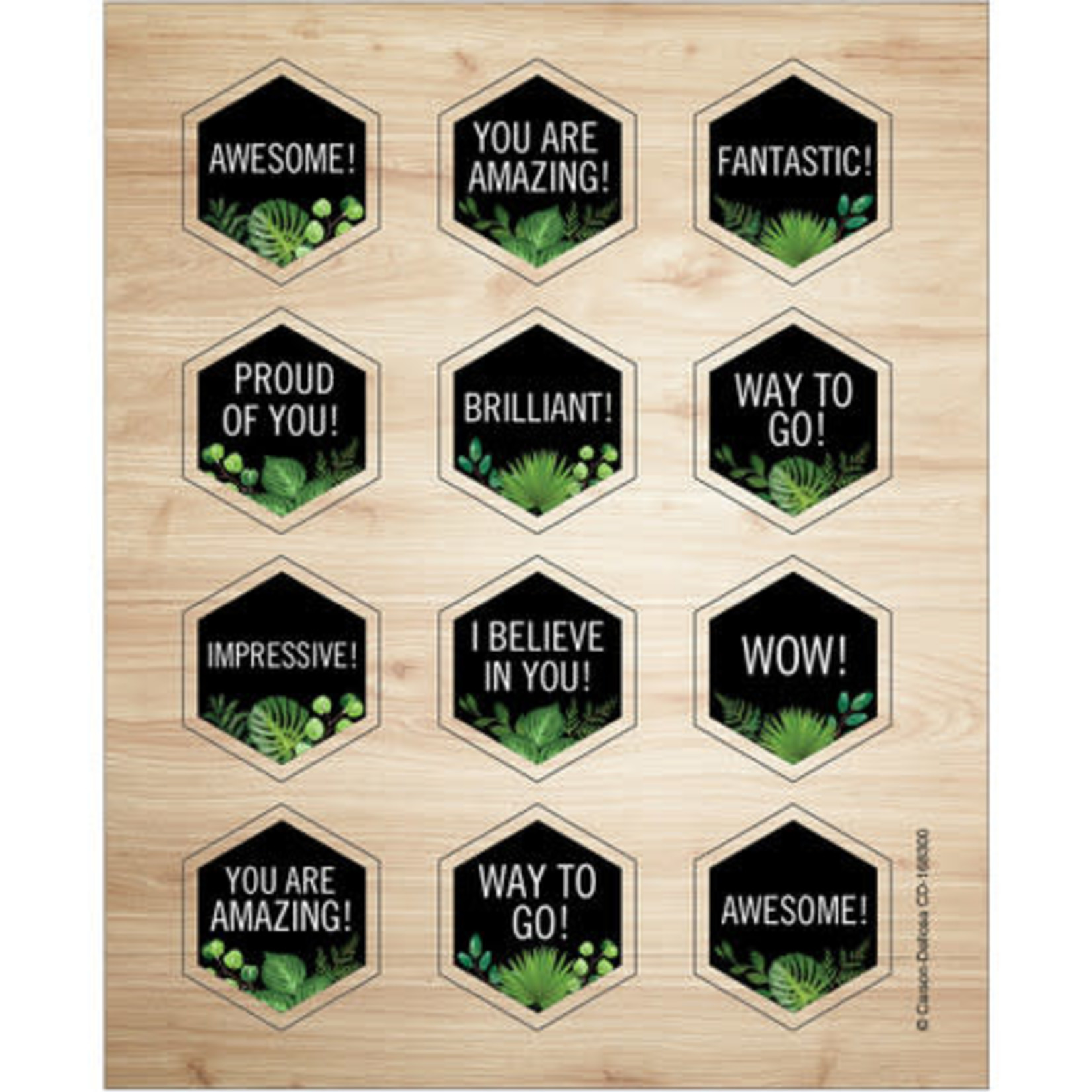 CARSON DELLOSA PUBLISHING CO School Girl: Simply Boho Celebrations Motivational Stickers