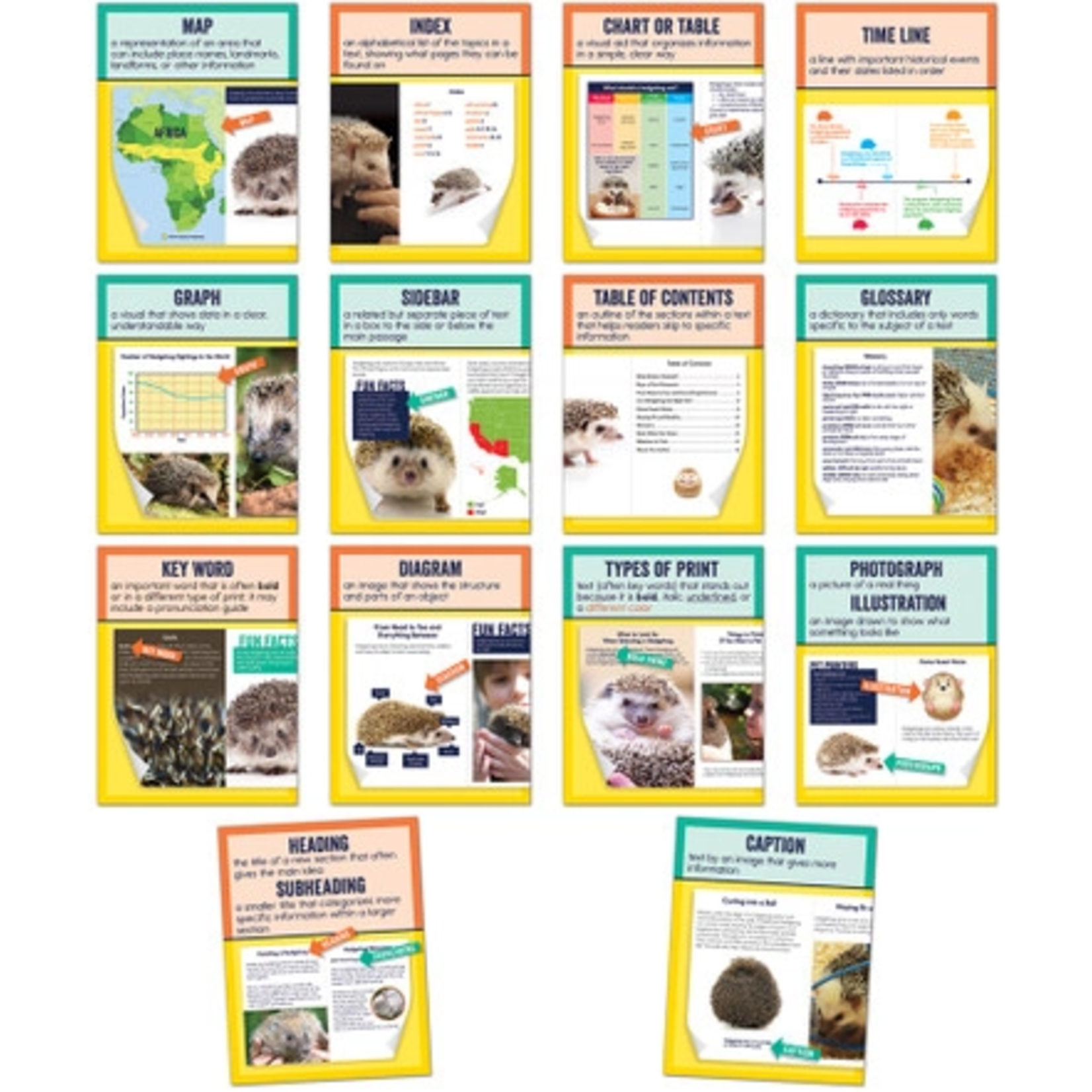 CARSON DELLOSA PUBLISHING CO Mini Posters: Nonfiction Text Features Poster Set Grade 1-6