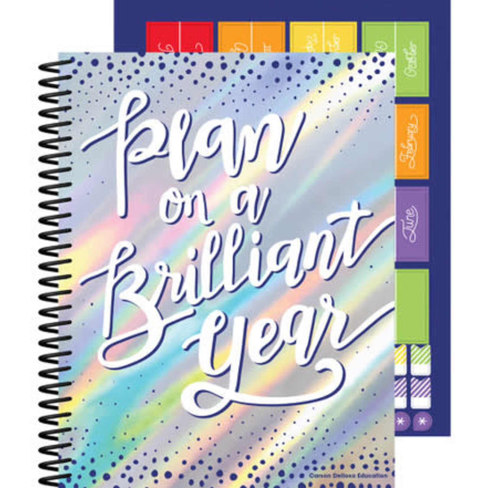 CARSON DELLOSA PUBLISHING CO Plan on a Brilliant Year Teacher Planner