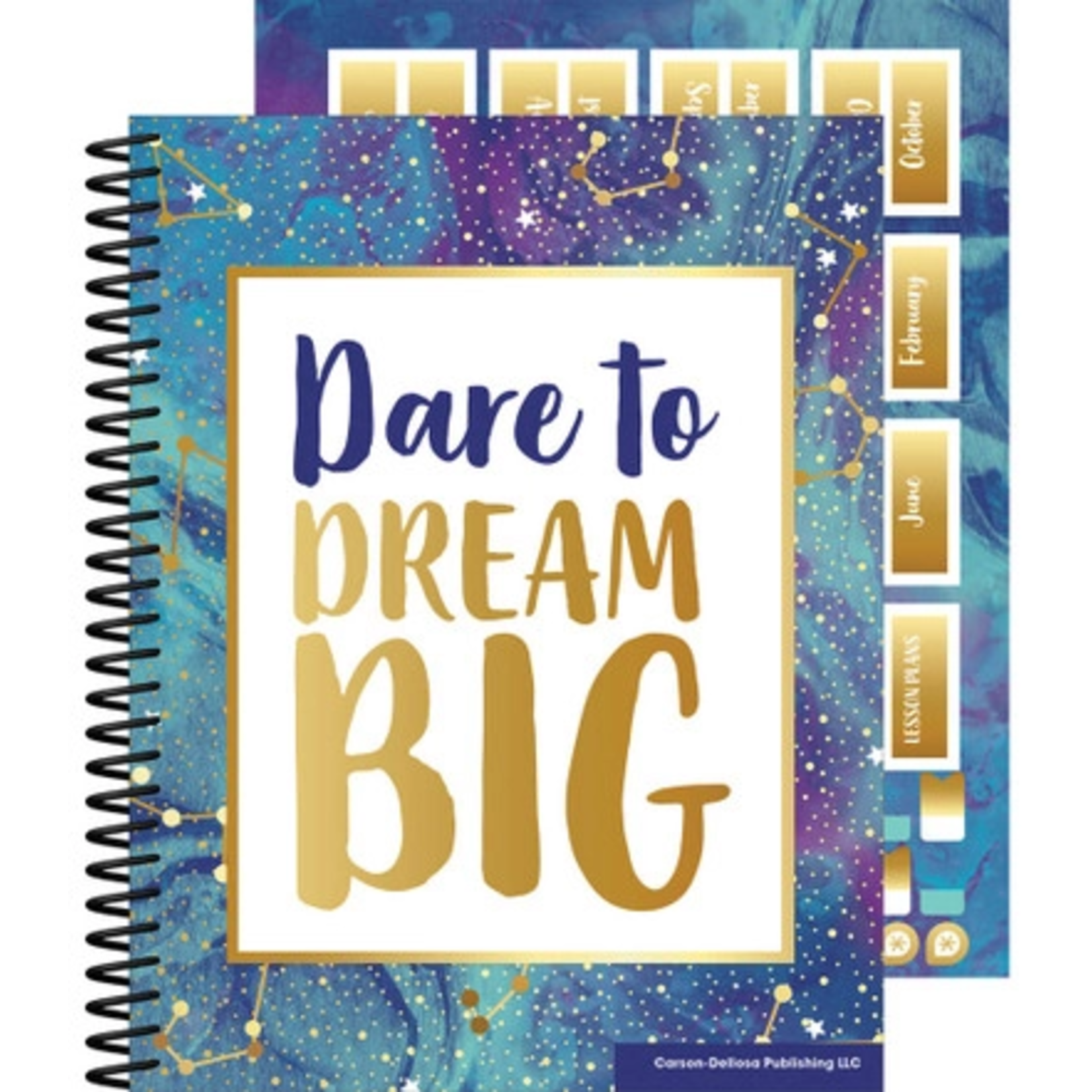 CARSON DELLOSA PUBLISHING CO Galaxy Teacher Planner