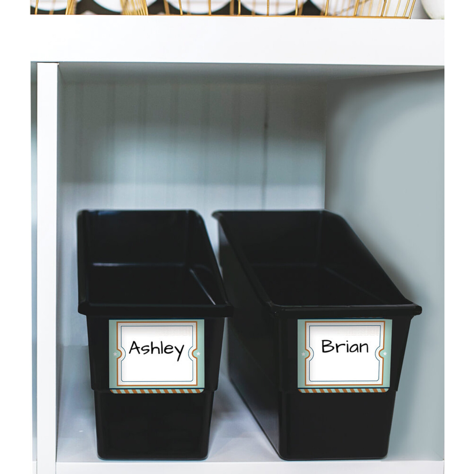 CARSON DELLOSA PUBLISHING CO Let's Explore Name Tags