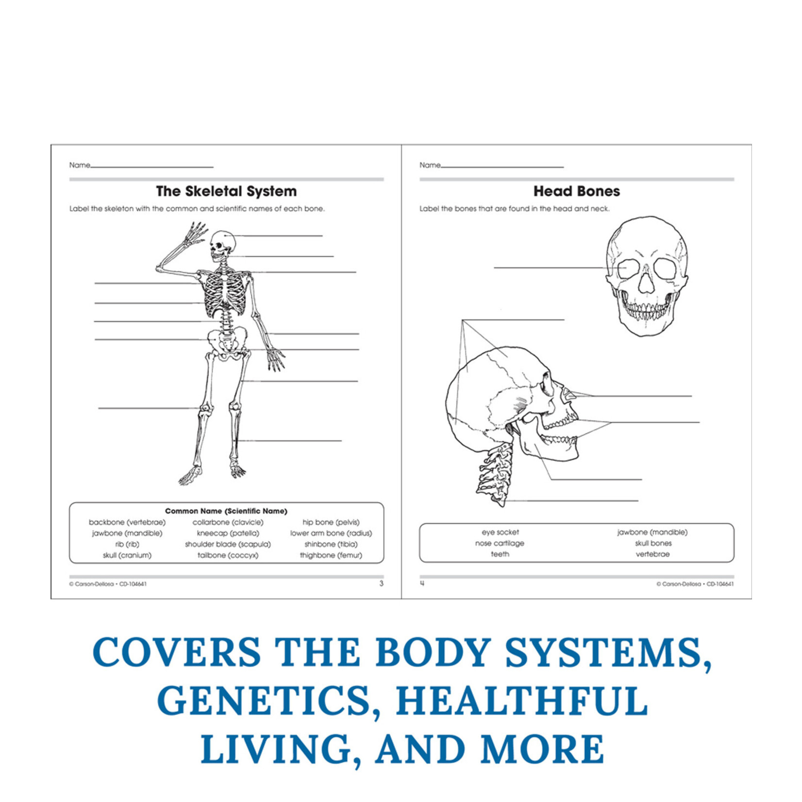 CARSON DELLOSA PUBLISHING CO 100+ Series Human Body Workbook Grade 5-8