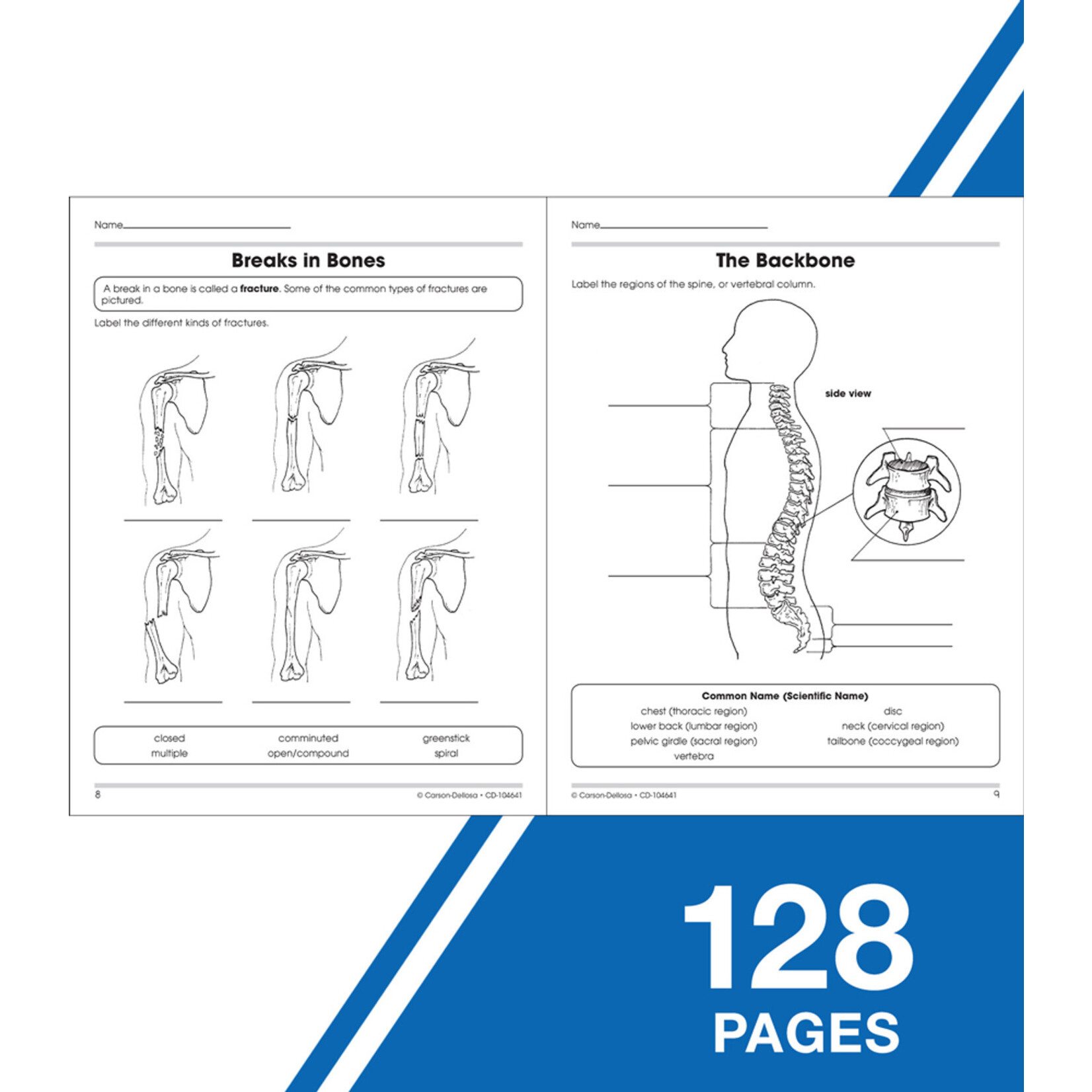 CARSON DELLOSA PUBLISHING CO 100+ Series Human Body Workbook Grade 5-8