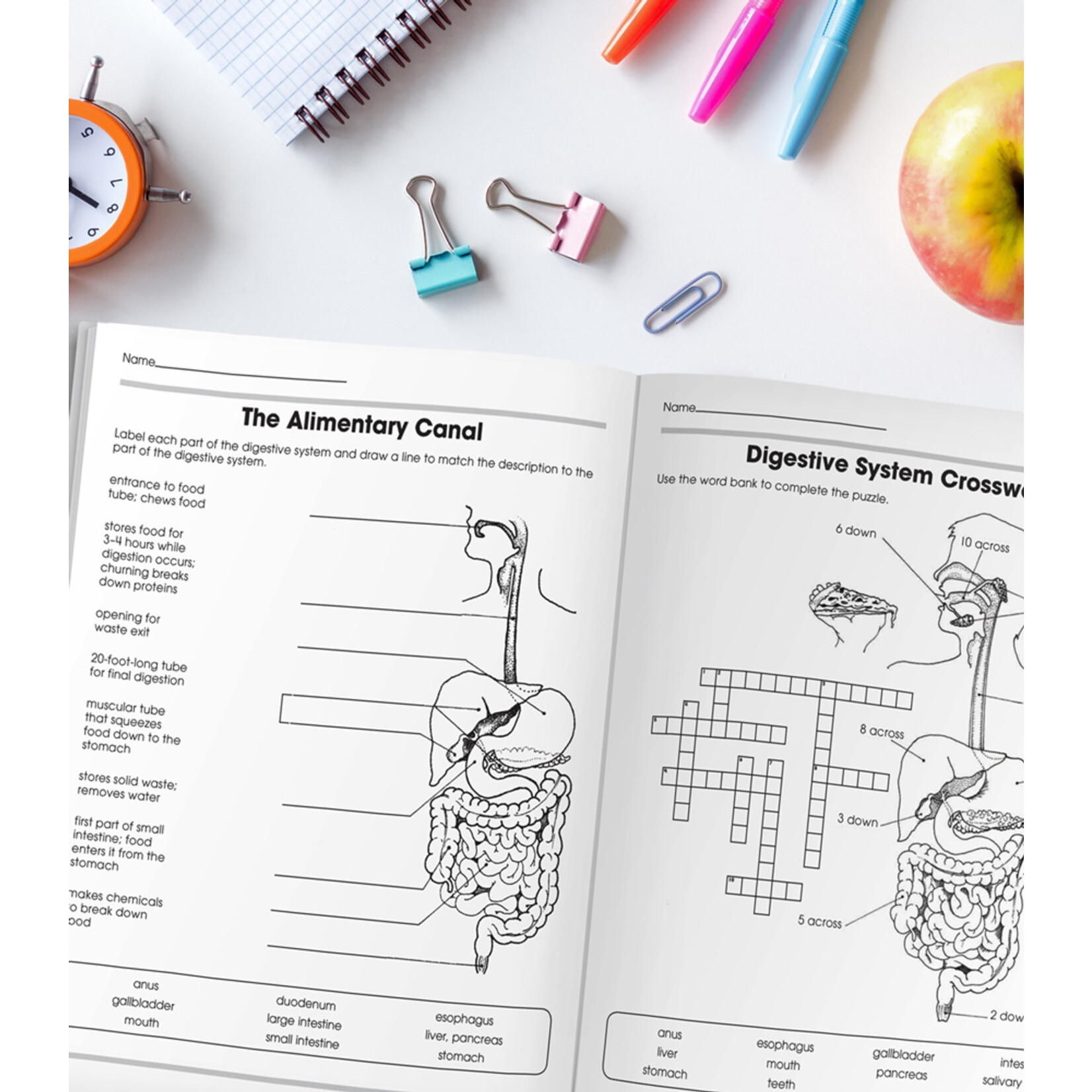 CARSON DELLOSA PUBLISHING CO 100+ Series Human Body Workbook Grade 5-8