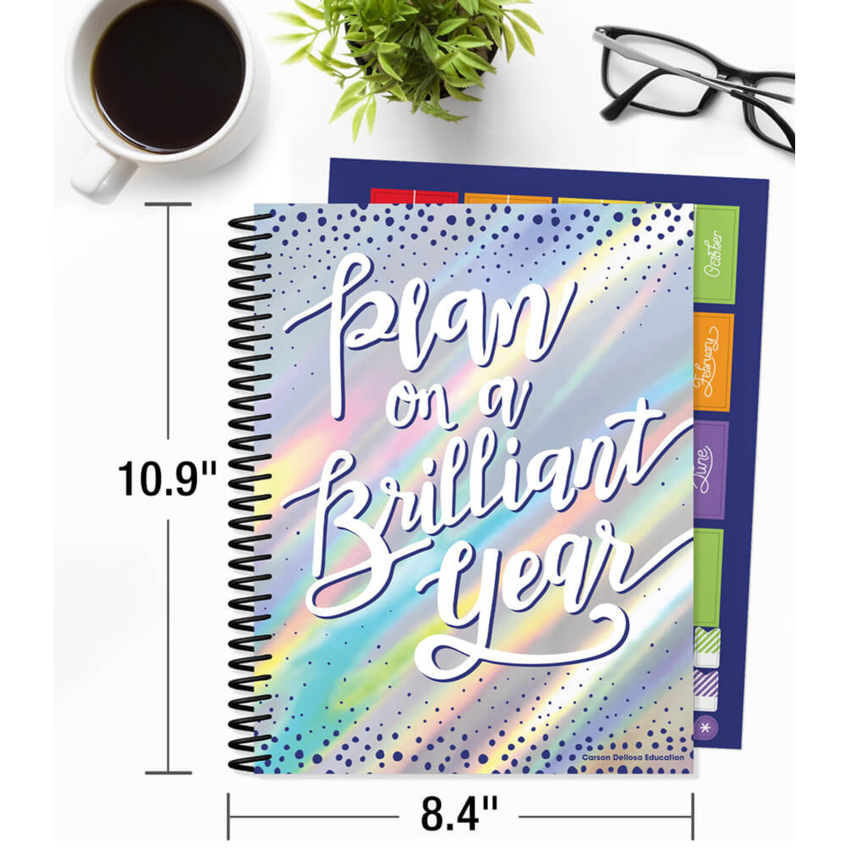 CARSON DELLOSA PUBLISHING CO Plan on a Brilliant Year Teacher Planner