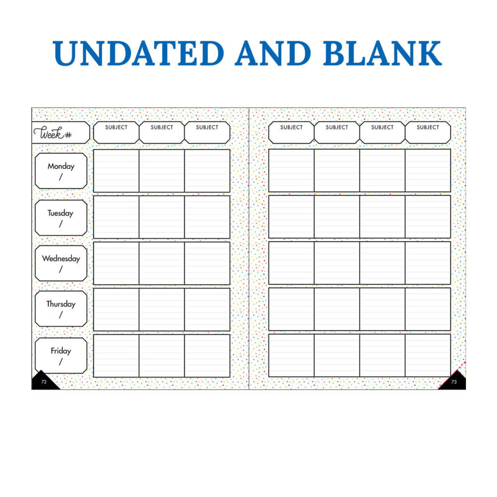 CARSON DELLOSA PUBLISHING CO Plan on a Brilliant Year Teacher Planner