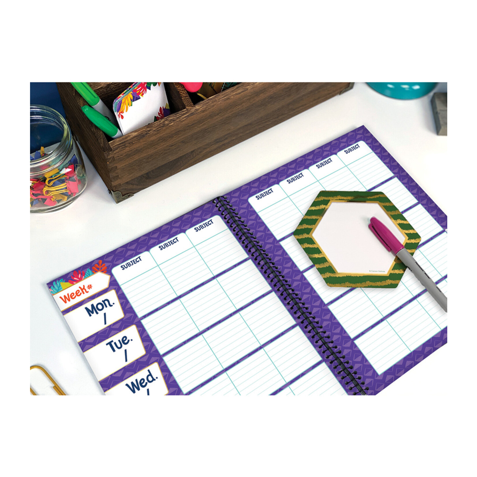 CARSON DELLOSA PUBLISHING CO One World Teacher Planner