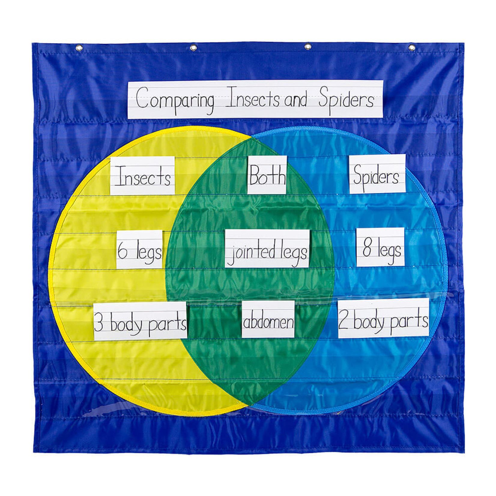 CARSON DELLOSA PUBLISHING CO Venn Diagram Pocket Chart