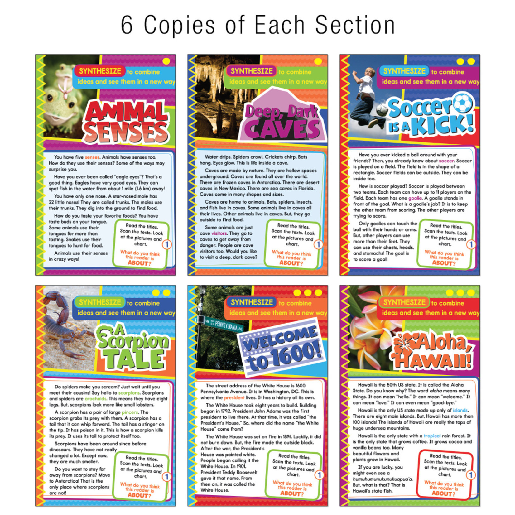 CARSON DELLOSA PUBLISHING CO Guided Reading: Synthesize Resource Book Grade 1-2