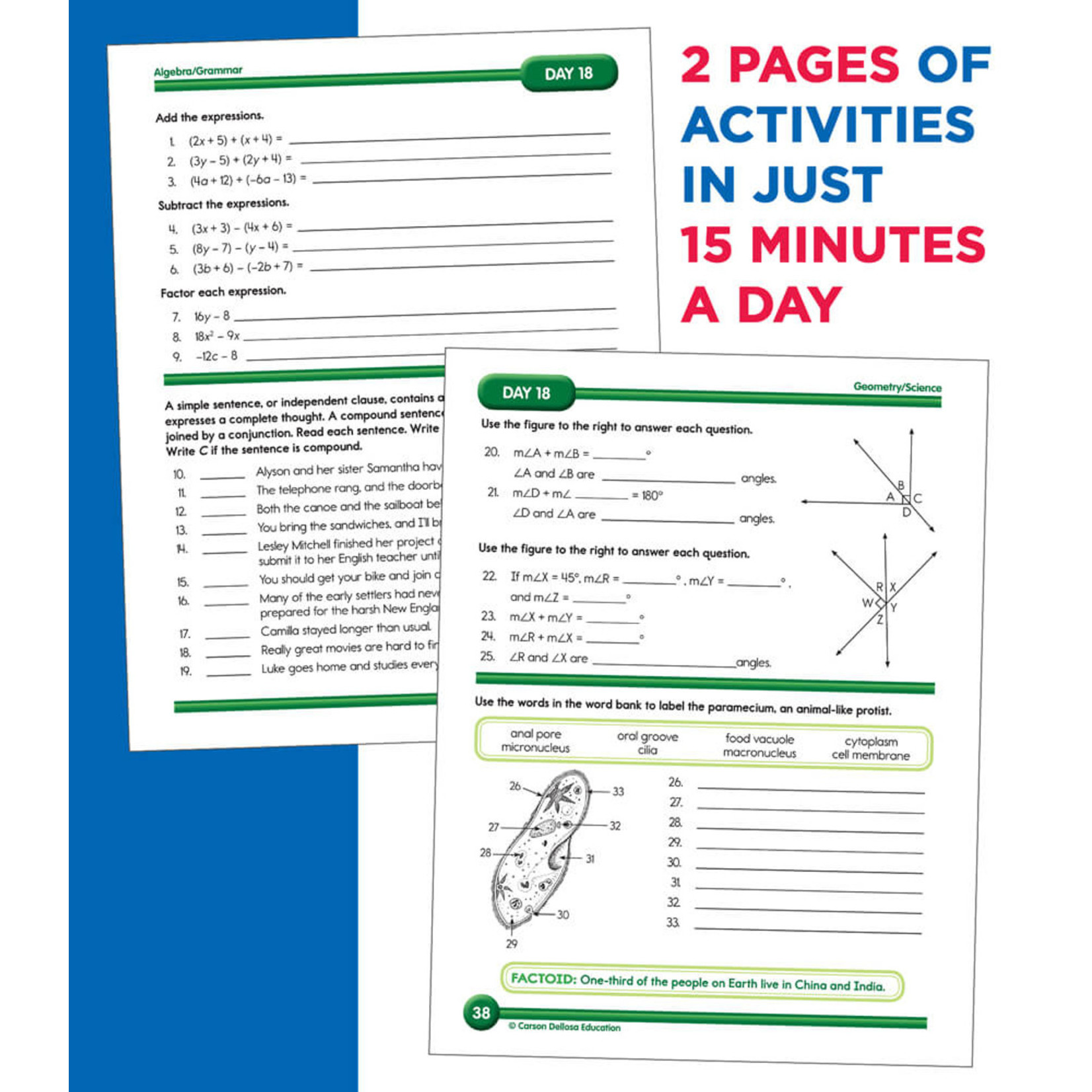 CARSON DELLOSA PUBLISHING CO Summer Bridge Activities® Workbook Grade 7-8