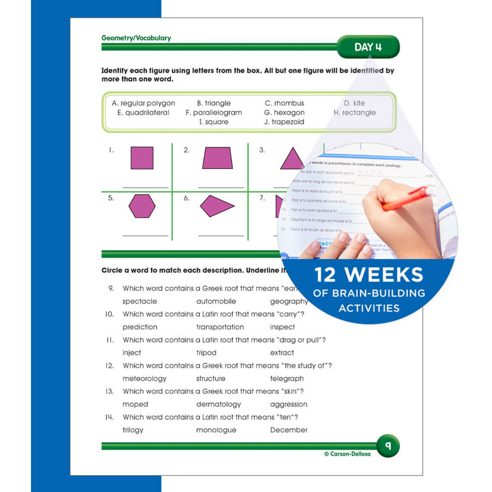 CARSON DELLOSA PUBLISHING CO Summer Bridge Activities® Workbook Grade 5-6