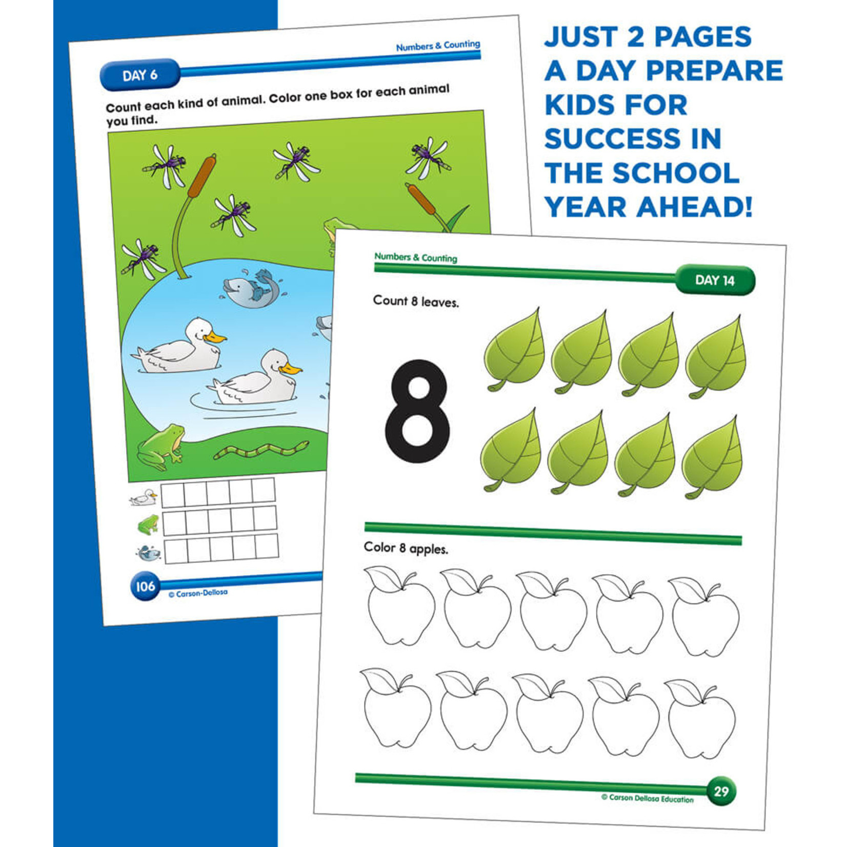 CARSON DELLOSA PUBLISHING CO Summer Bridge Activities Workbook Grade PK-K
