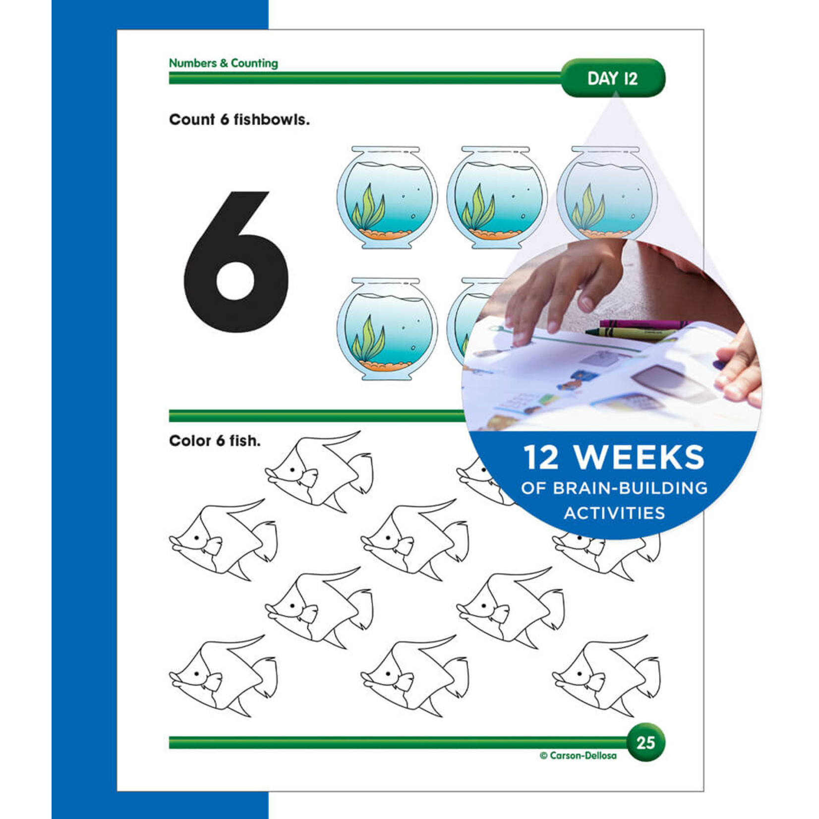 CARSON DELLOSA PUBLISHING CO Summer Bridge Activities Workbook Grade PK-K