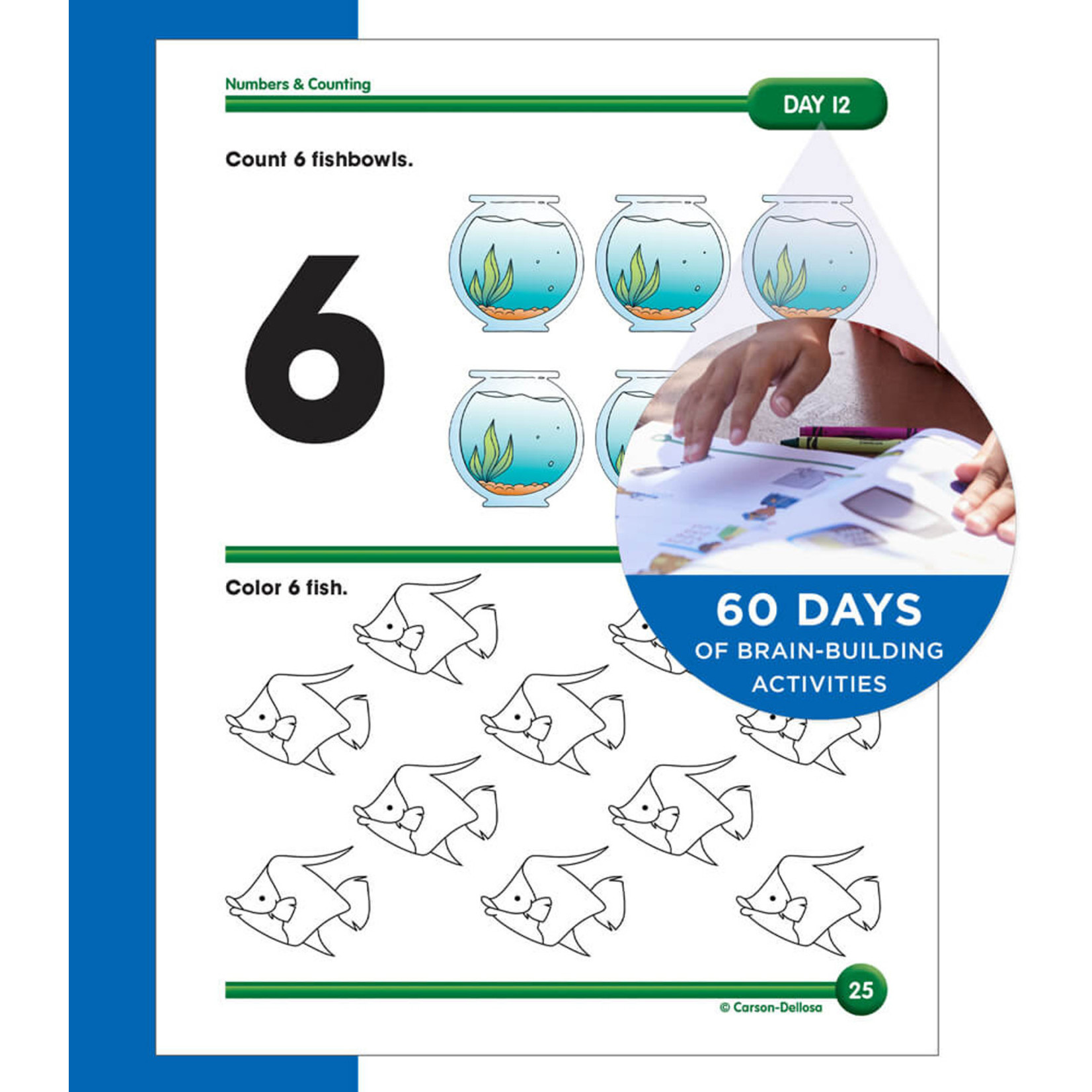 CARSON DELLOSA PUBLISHING CO Summer Bridge Activities Workbook Grade PK-K