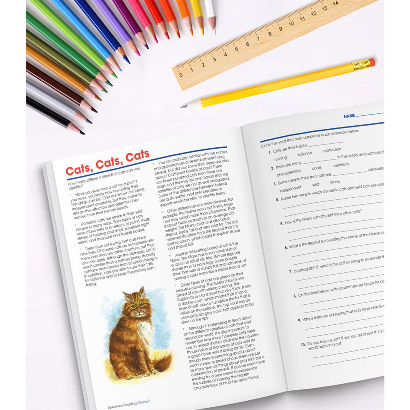 CARSON DELLOSA PUBLISHING CO Spectrum Reading Workbook Grade 5