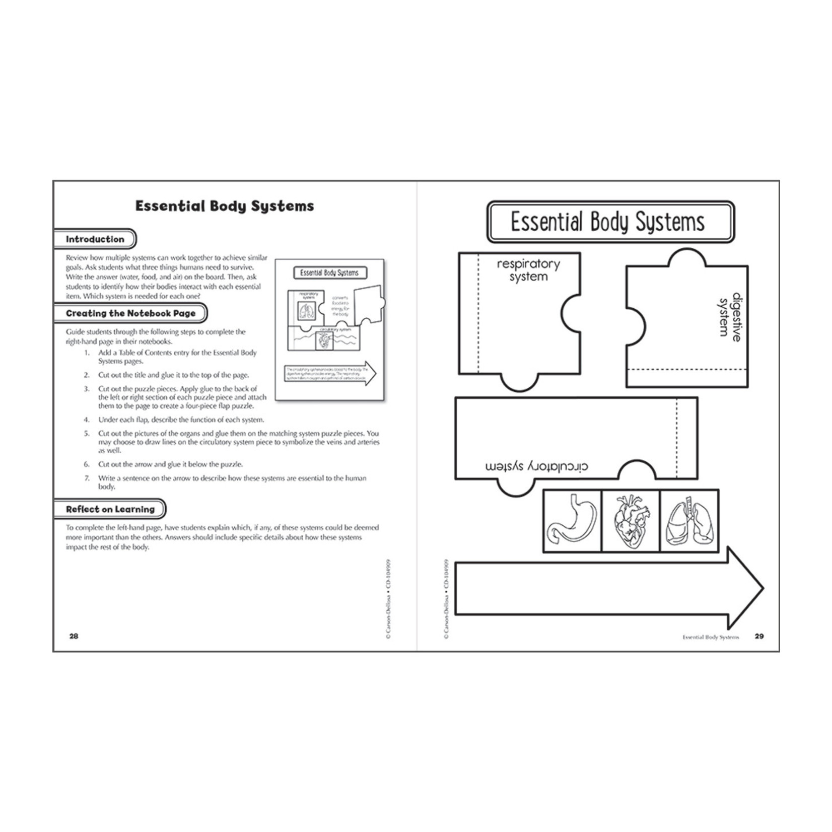 CARSON DELLOSA PUBLISHING CO Interactive Notebooks: Science Resource Book Grade 5