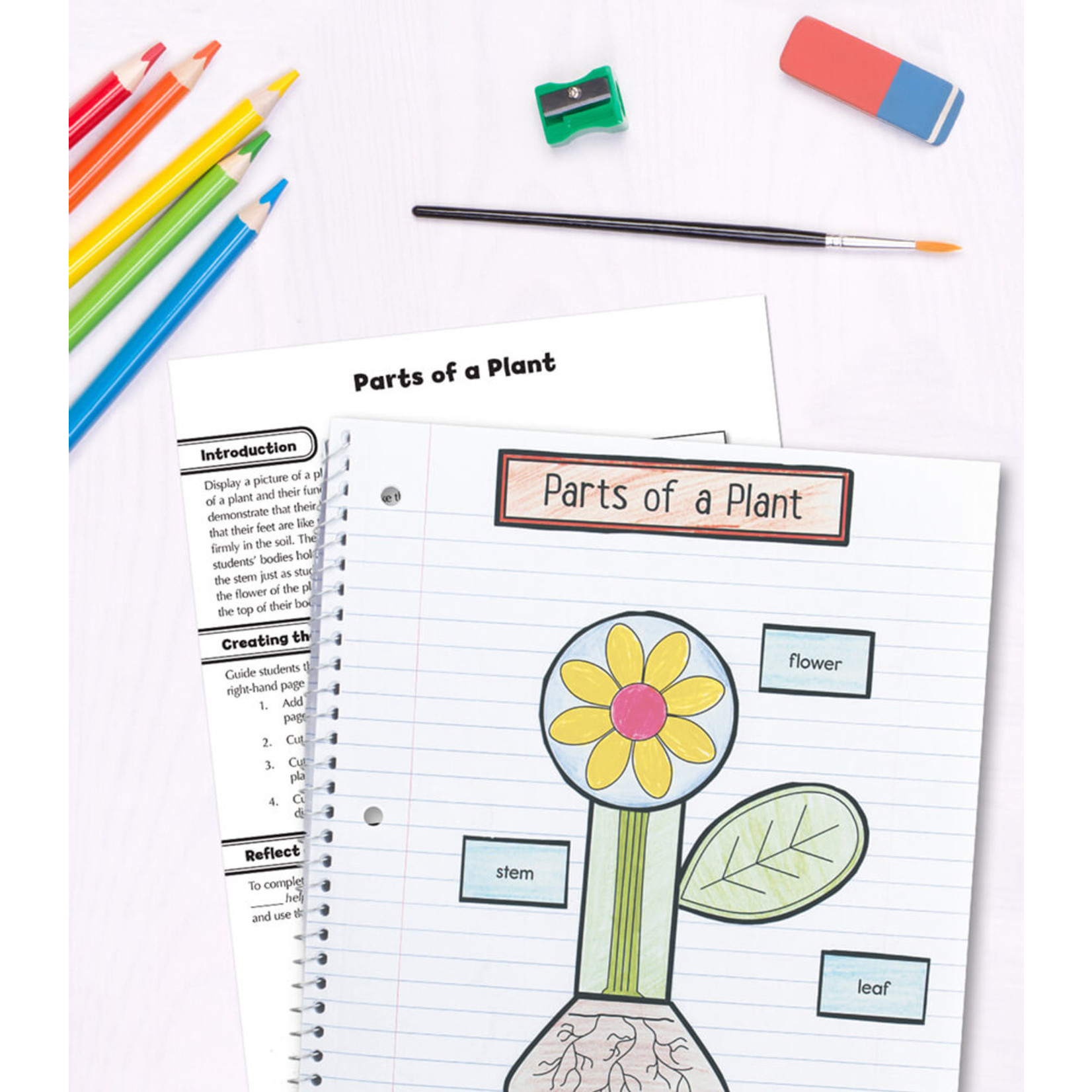 CARSON DELLOSA PUBLISHING CO Interactive Notebooks: Science Resource Book Grade 1