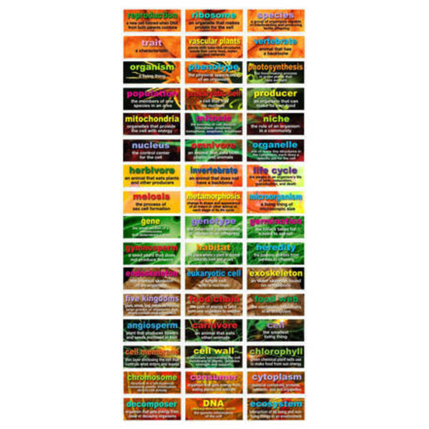 CARSON DELLOSA PUBLISHING CO 48 Life Science Testing Words Mini Bulletin Board Set Grade 5-8