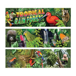 CARSON DELLOSA PUBLISHING CO Tropical Rain Forest Mini Bulletin Board Set Grade 4-8