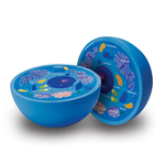 LEARNING RESOURCES INC Soft Foam Cross-Section Animal Cell Model