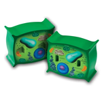 LEARNING RESOURCES INC Soft Foam Cross-Section Plant Cell Model