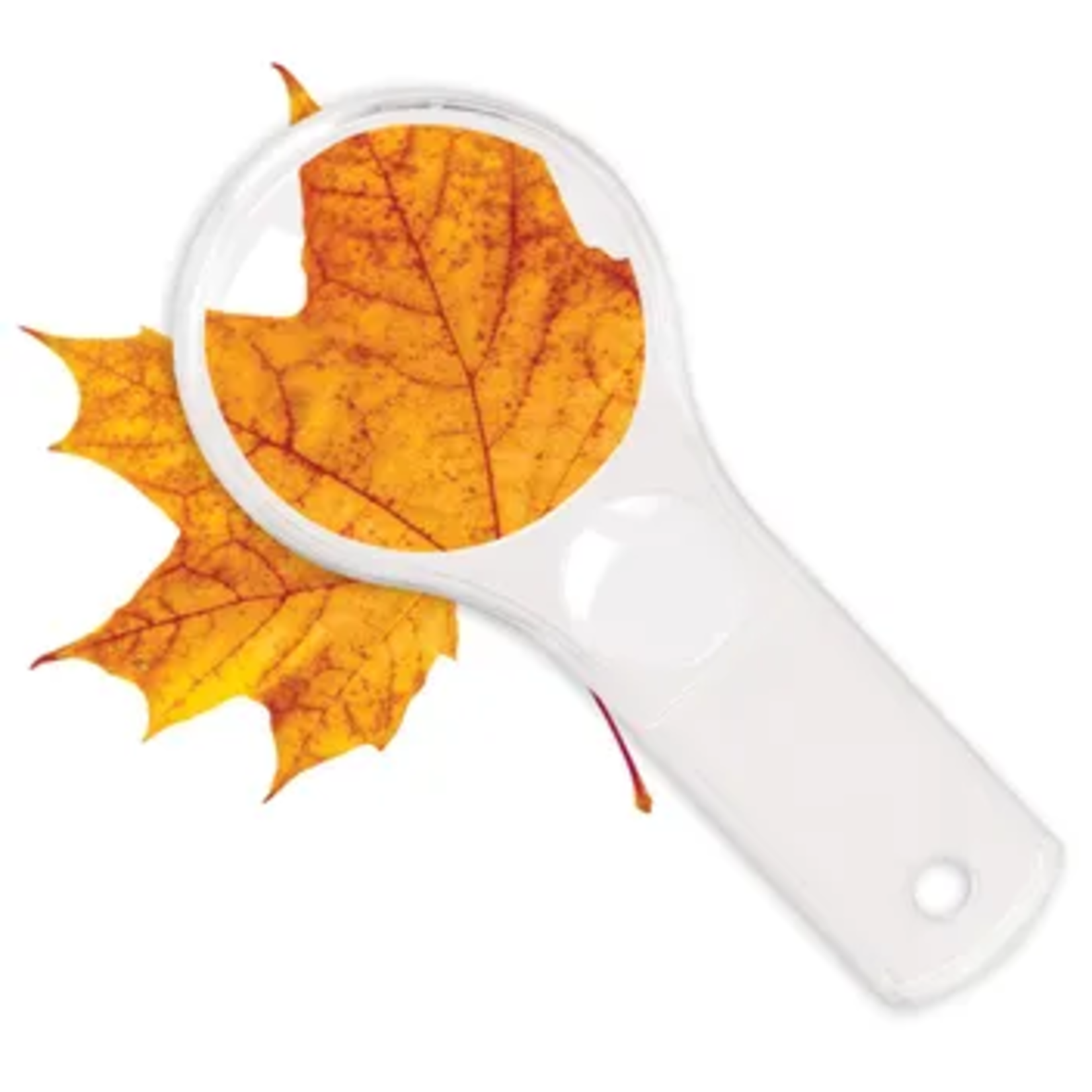 LEARNING RESOURCES INC Dual Lens Magnifiers