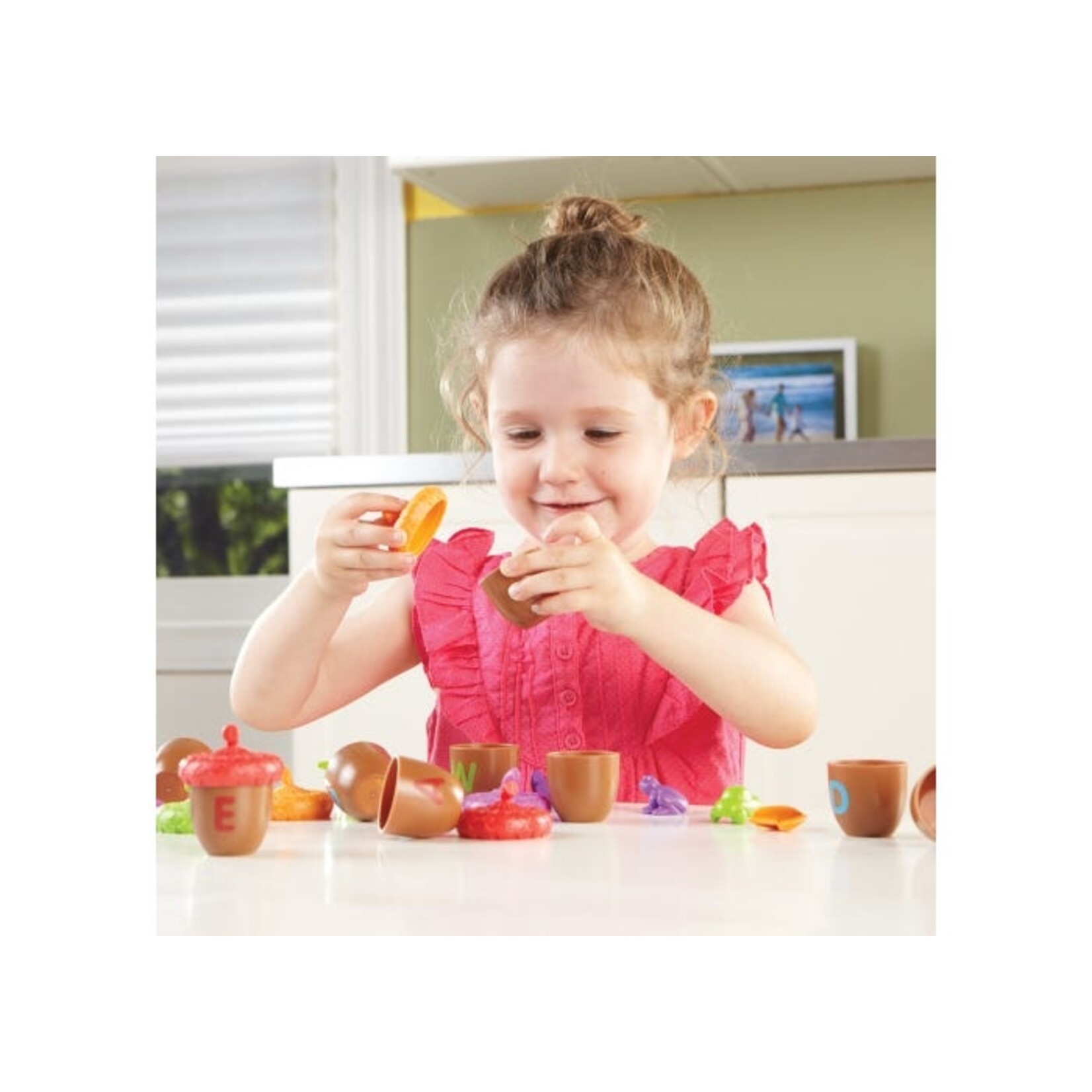 LEARNING RESOURCES INC Alphabet Acorns Activity Set